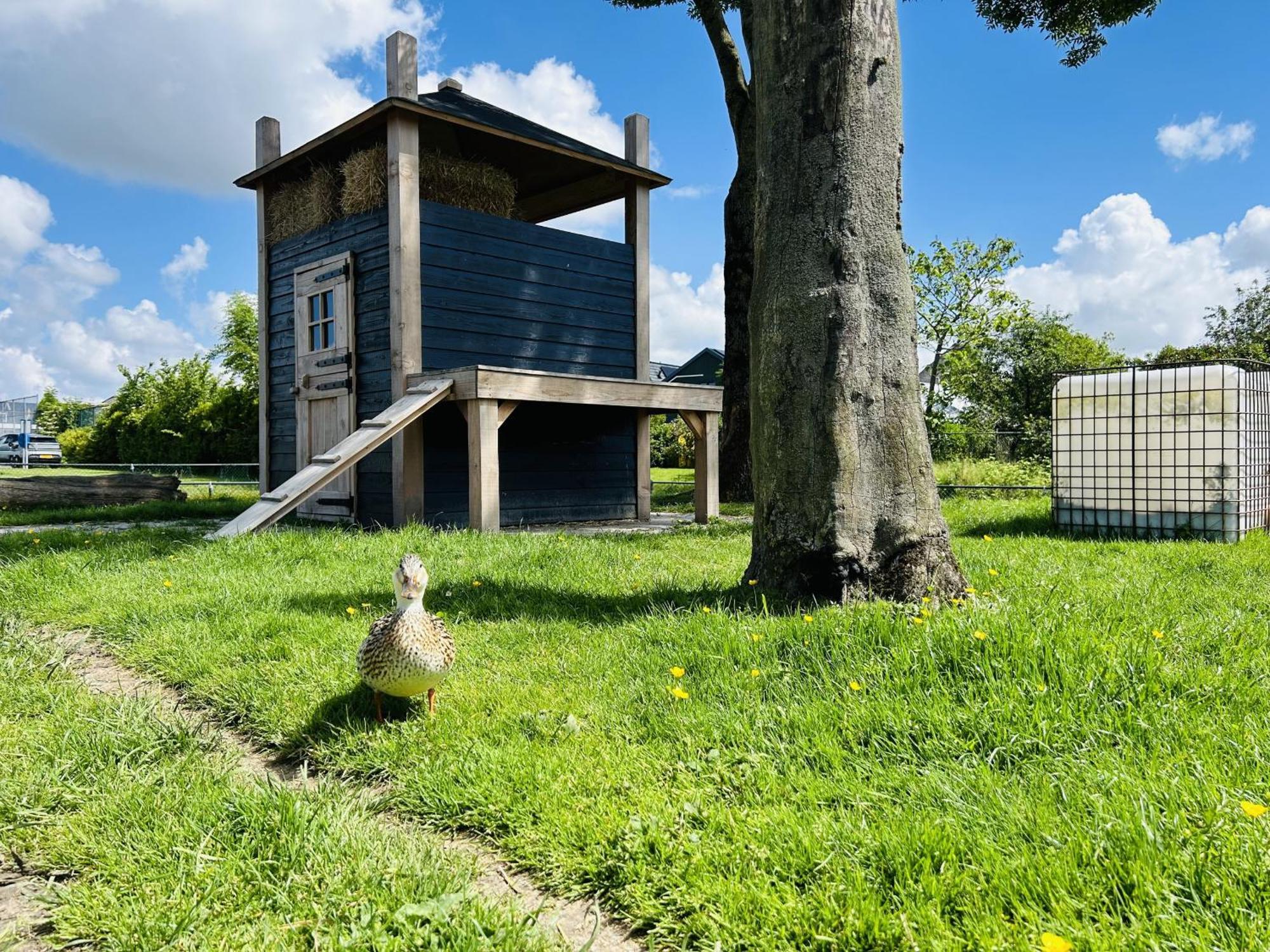 Bungalowpark De Horn - Floresta 215 Dirkshorn Buitenkant foto